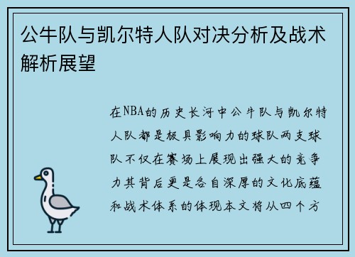 公牛队与凯尔特人队对决分析及战术解析展望
