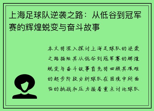 上海足球队逆袭之路：从低谷到冠军赛的辉煌蜕变与奋斗故事